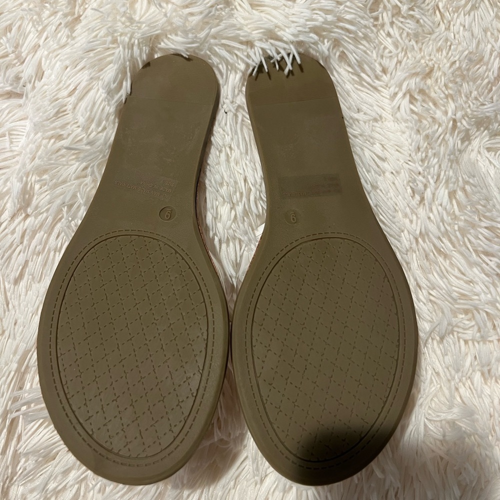 FN CLEAR FLATS - Picture 5 of 6